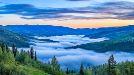 Obraz premium A serene mountaintop at dawn, bathed in soft golden light and surrounded by drifting clouds