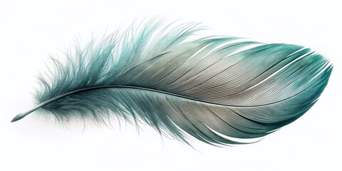 Obraz premium Macro Photography: Single Light Gray Feather Isolated on White Background