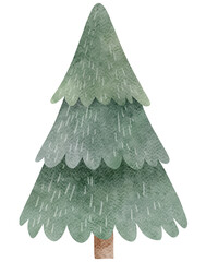 Evergreen Tree Illustration