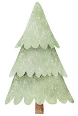 Watercolor Pine Tree