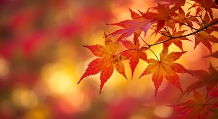 Crimson Canopy's Embrace AI Generated