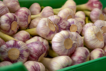 Fresh garlic displayed at a neighborhood market