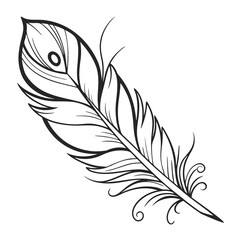 Obraz premium Elegant Feather Illustration in Black and White Design 