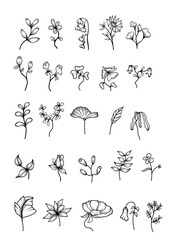 set of floral sketch
