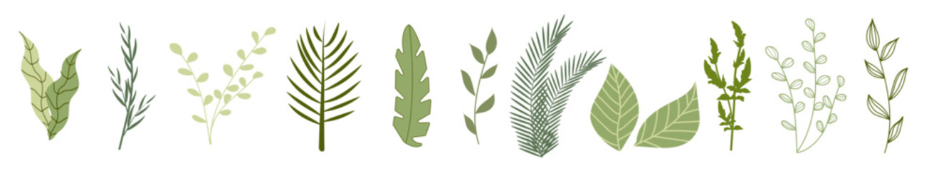 Set of green botanical branches. Hand-drawn and stylized leaves and herbs in various shapes. Perfect for eco design, packaging, wedding decor, natural cosmetics, and organic product branding. Vector.