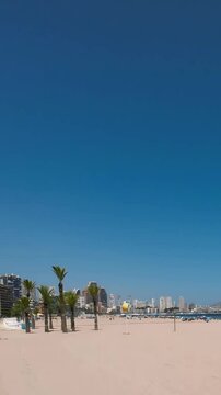 Timelipse of Benidorm city in Spain coastline. Coastal palm trees against a clear blue sky and beach  