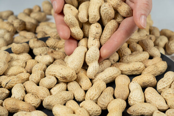Handful of unpeeled whole peanuts in hands, close-up.