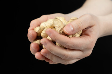 Handful of unpeeled whole peanuts in hands, close-up.