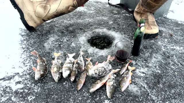 Ice fishing on frozen lake. Catching fish through an opening in the ice on a frozen body of water. Catching fish in a hole in the ice on frozen river. Winter fishing. Jigging with Small jigging rod.