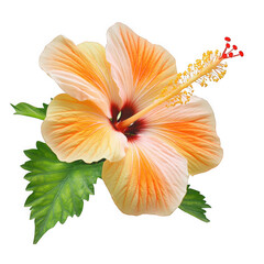 A beautiful flower surrounded by lush green leaves on a transparent background for nature photography and decor ideas