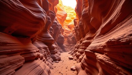 Majestic Canyon with Winding Red Rock Formations and Soft Light