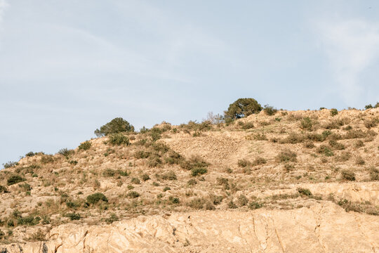 Arid landscape with rocky hillside and sparse vegetation under clear sky - Powered by Adobe