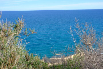 Serene coastal view with blue ocean and clear sky through foliage
