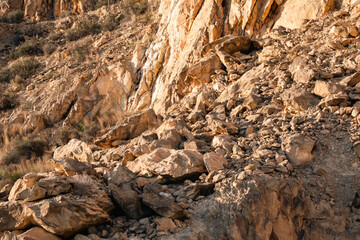 Rocky terrain with sunlit brown boulders and sparse vegetation
