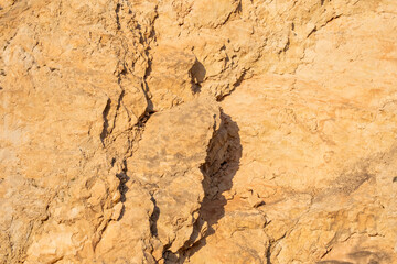 Golden sunlit rocky surface with natural texture and cracks