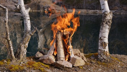 Beautiful Crackling Campfire among Birch Trees by the Lake , Sunrise