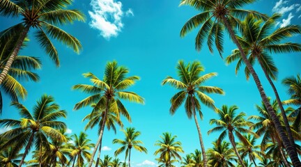 Upward view of tall, swaying palm trees with vibrant green fronds, deep blue sky, scattered feathery clouds, tropical summer atmosphere, rich colors, warm and bright lighting.