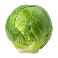 Obraz premium Fresh Brussels Sprout, Isolated on White Background