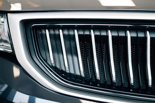 Radiator grille in a car