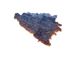 Illuminated Bosnia Data Map Highlighting Geographical Features Neon Glow Light 3D Illustration