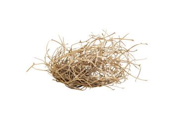 Intricate Dried Plant Nest - Natural Beauty