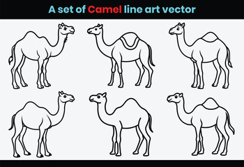 set of camels animal line art, Hand drawn deer outline vector.