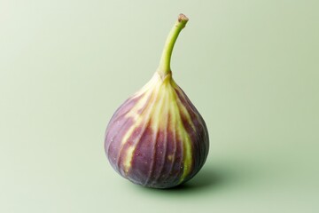 Fototapeta premium Ripened fig showcases vibrant purple hues and unique striped pat