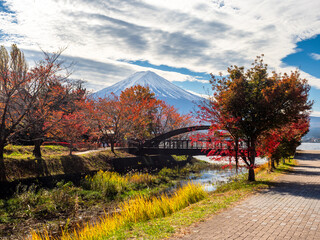 Landscape of Japan. Volcano Fuji. Nature of Japan in autumn. Picturesque landscape with mount Fujiyama. Mount Fuji under blue cloudy sky. River flows into lake Kawaguchiko. Landscape of Japanese park