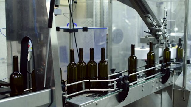 Wine bottle conveyor system in action at a production facility near the harvest season