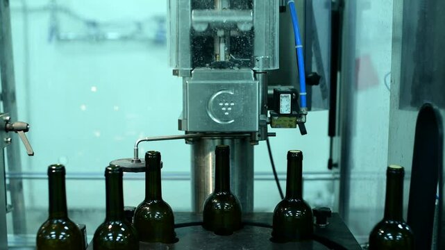 Wine bottle conveyor system in action at production facility during bottling process