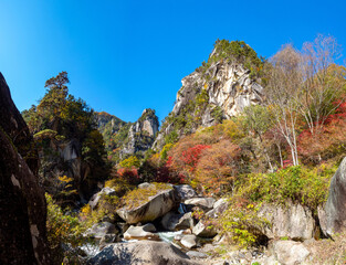 Mountains of Japan. Canyon in Kofu region. Autumn landscape with trees on rocks. Shosenkyo gorge under blue sky. Authentic Japanese nature. Landscape of Kofu in sunny weather. Wildlife of Japan
