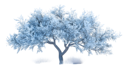 Frost-Covered Tree in Serene Winter Landscape: Isolated Snowy Scene Art for Design