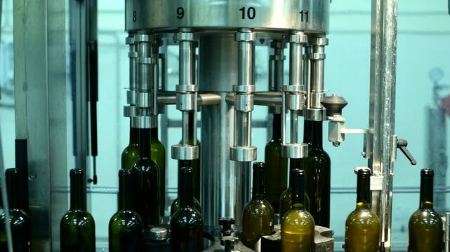 Wine bottle conveyor line in operation at a production facility for efficient packaging and distribution