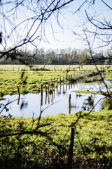 Les Marais d'Auchay sur Vendée en Vendée France
