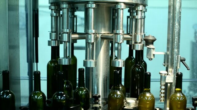 Efficient wine bottle processing on conveyor system in factory during production hours