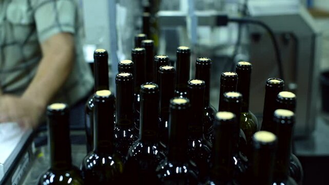 Wine bottle conveyor in action at a production facility during busy work hours with various bottle types processing continuously