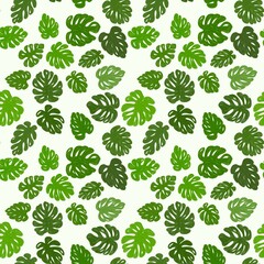 Monstera Blätter, Illustration, Seamless Pattern, nahtloses Muster, Zimmerpflanze