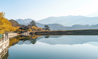 구례 현천마을 저수지 가에 핀 노란 산수유꽃