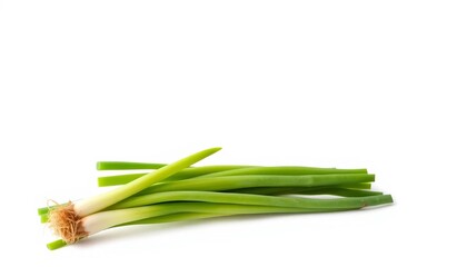 Fototapeta premium Single green onion, vibrant green stalks and white roots, isolated on pure white background, wholesome, fresh