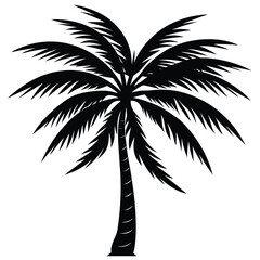 Palm Tree Silhouette Vector - High-Quality Isolated Design