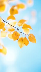 Obraz premium A close-up view of vibrant yellow autumn leaves gently swaying on a branch against a soft blue sky, creating a serene atmosphere, ideal for seasonal themes and nature-focused projects