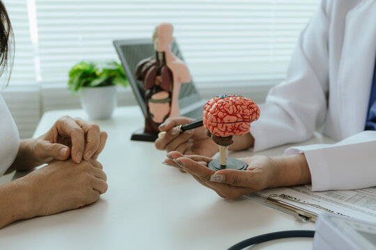 Asian female doctor talking to elderly patient, showing brain model and explaining about brain disease in hospital.