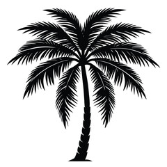 Palm Tree Silhouette Vector - High-Quality Isolated Design