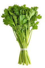 Fresh Parsley Bunch: A vibrant bundle of fresh parsley, showcasing its lush green leaves, ready for culinary use or a touch of nature.