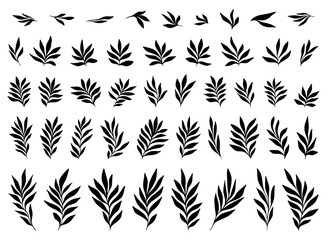 Palm Leaves Silhouettes Vector Elegant Trendy Tropical Leaf, Abstract Summer Black and White Line Drawing Graphic for Creative Logo or Trendy Botany Posters
