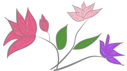 Simple Design of 4 Flowers in Hand Drawing Images