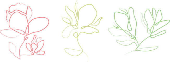 set of simple icons of various magnolia flower buds in line art style drawn with a colored outline, for tattoos, logos or other designs