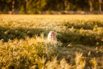 Little girl exploring barley field on a sunny summer day