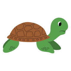 Cute sea turtle cartoon, Wild Animals. Underwater animal