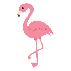 Exotic pink flamingos birds. Flamingo with rose feathers stand on one leg